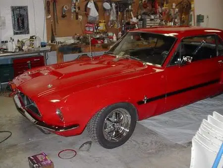 Mycarz3.webp
