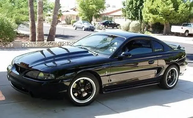 MyCobra.webp