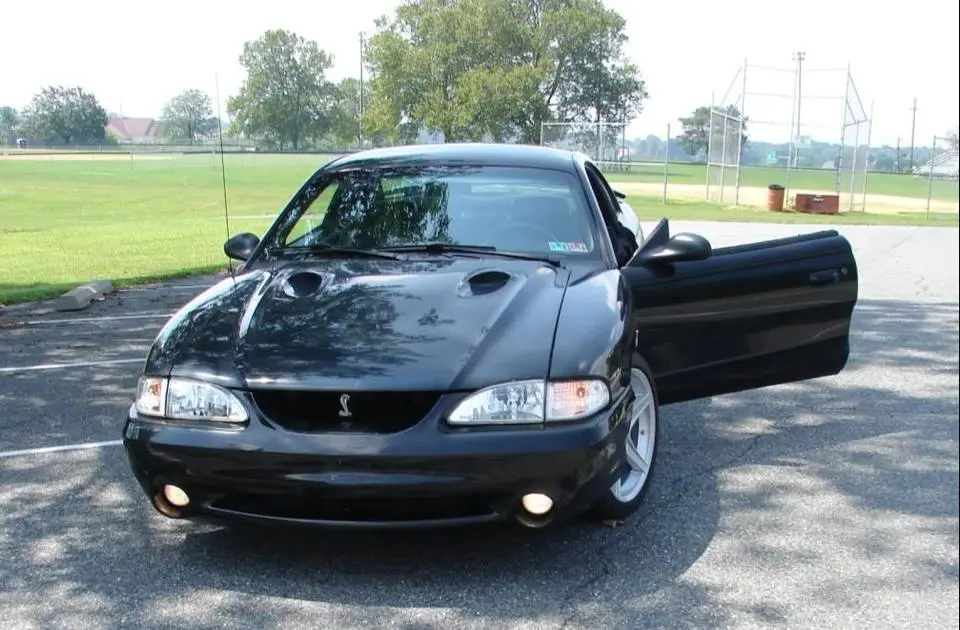 MyCobra.webp