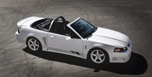 mycobra1.webp