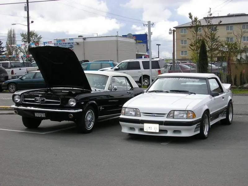 Myfavorites.webp