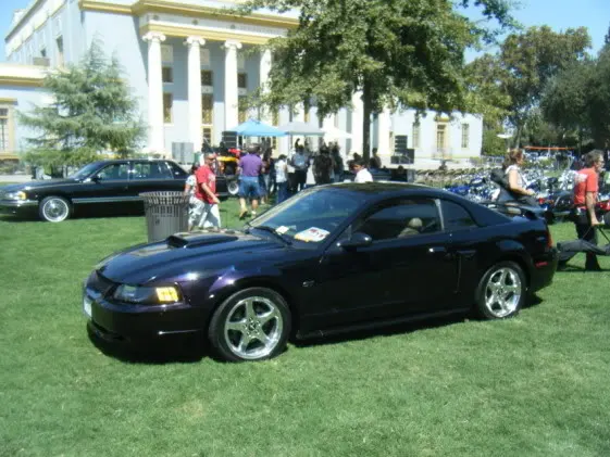MyMustang-1.webp