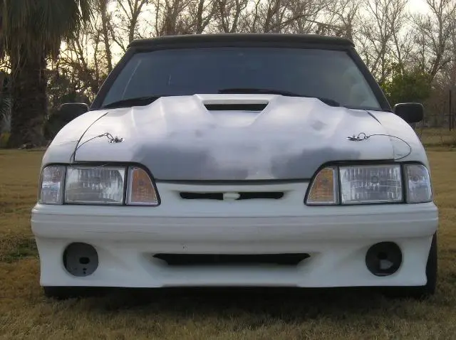 mymustang-3.webp
