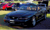 mymustang.gif