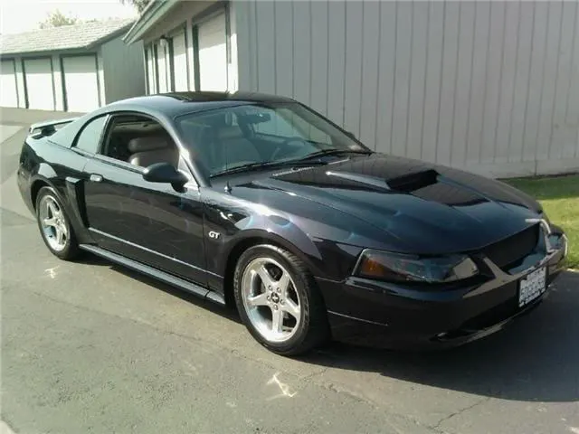 MyMustang.webp