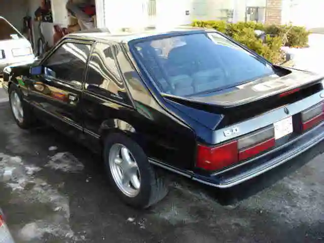mymustang.webp