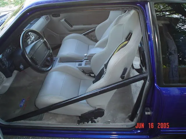 MyMustang009.webp