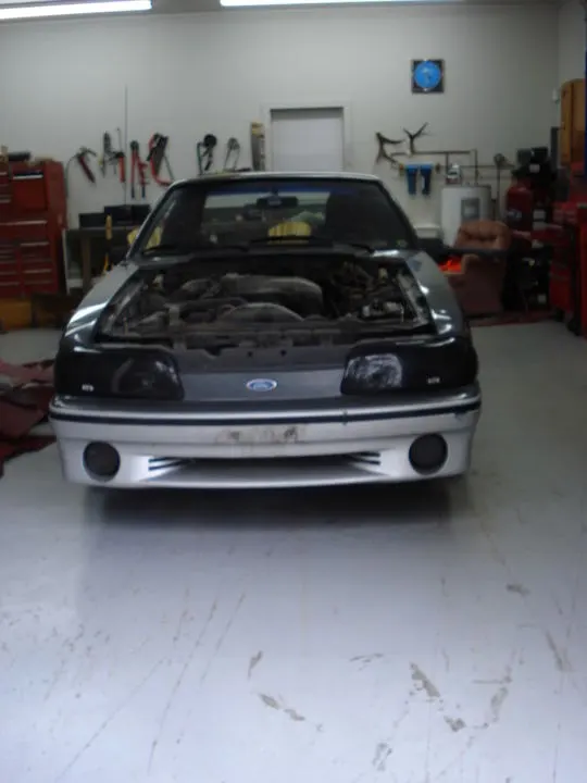 Mymustang01.webp