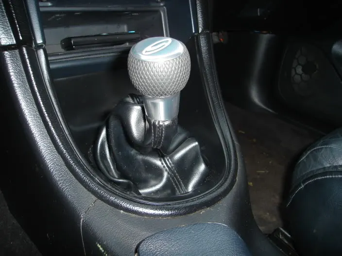 MyMustang010.webp