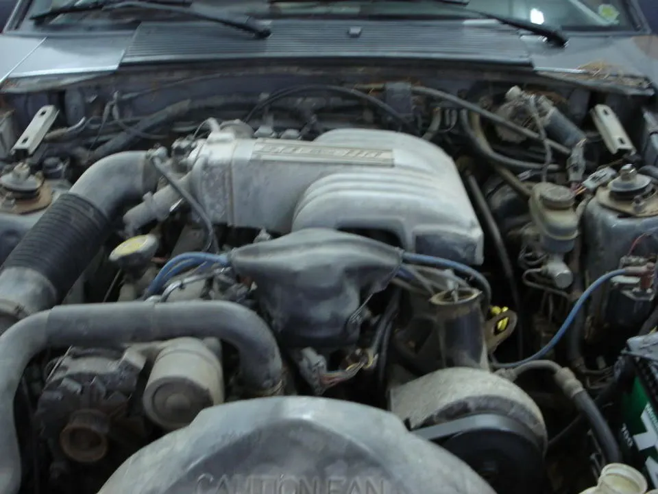 mymustang02.webp
