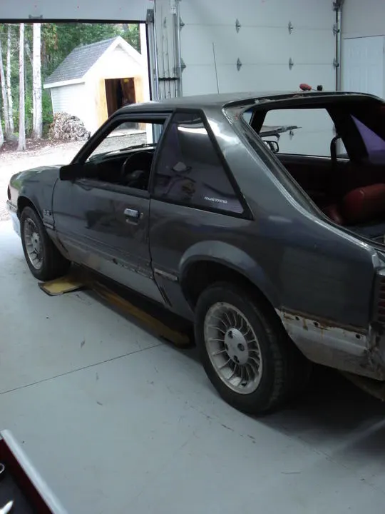 mymustang03.webp
