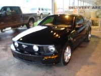 mymustang1cv2.th.webp