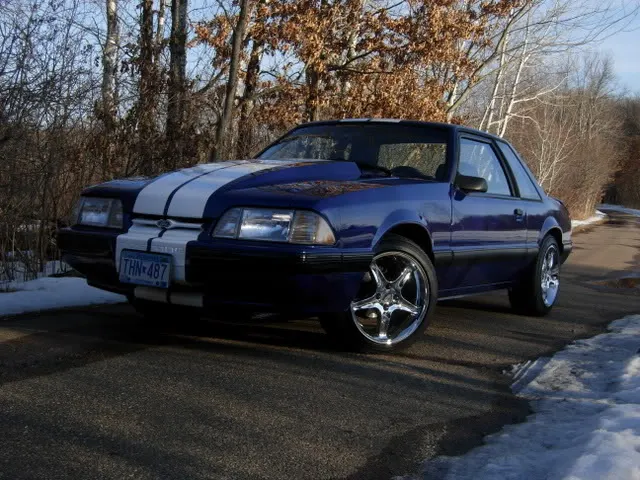 MyMustang3-14-08008.webp