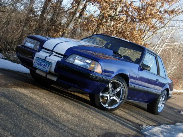 MyMustang3-14-08041.webp
