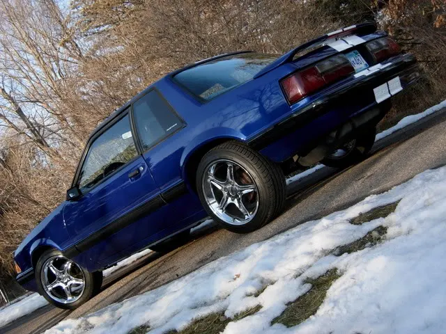 MyMustang3-14-08070.webp
