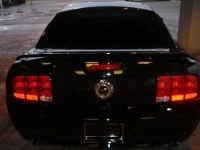 mymustang3yw7.th.webp