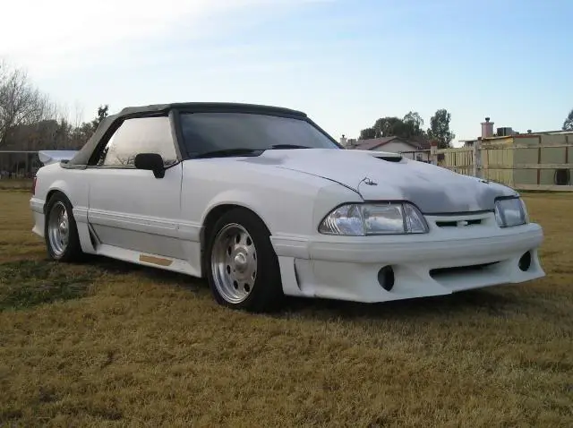 mymustanggt-2.webp