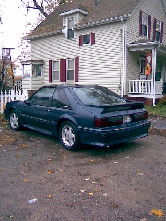mynewcar.webp