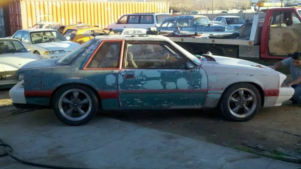 MyNotchback6.webp