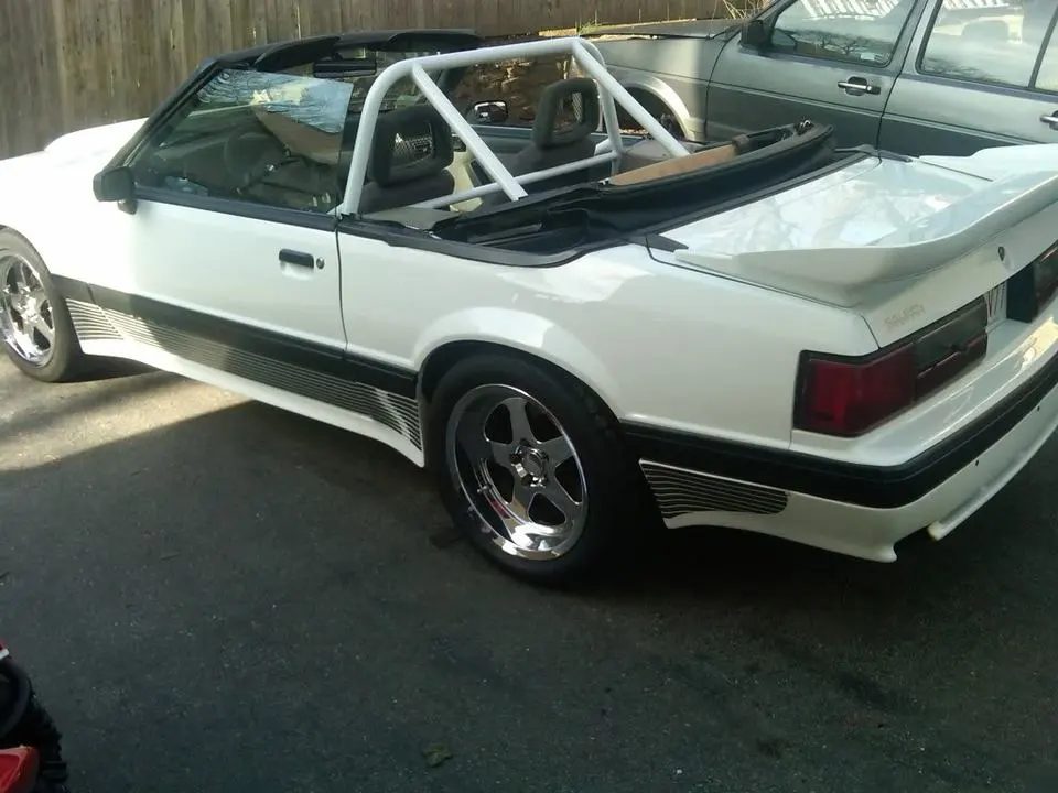 mysaleen.webp