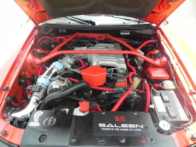 mysaleen4.webp