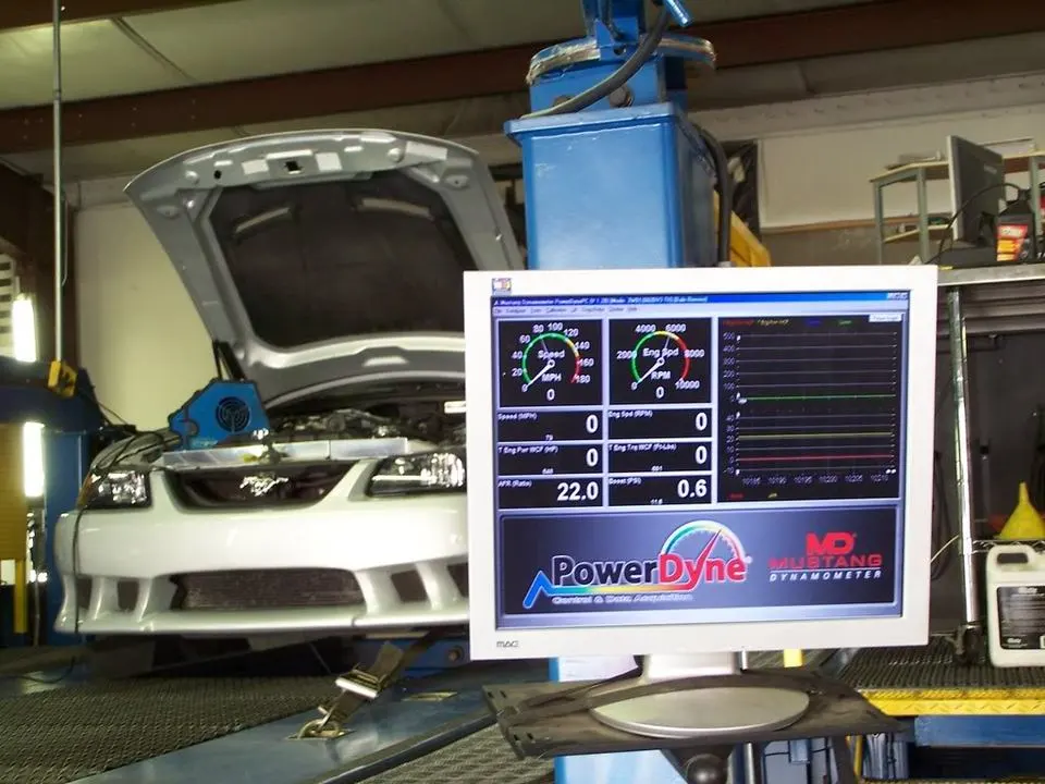 MySaleenAug2007020.webp