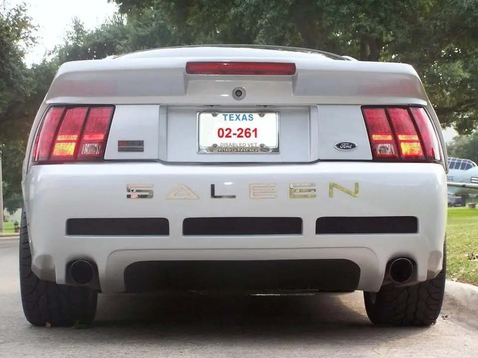 MySaleenAug2007046.webp