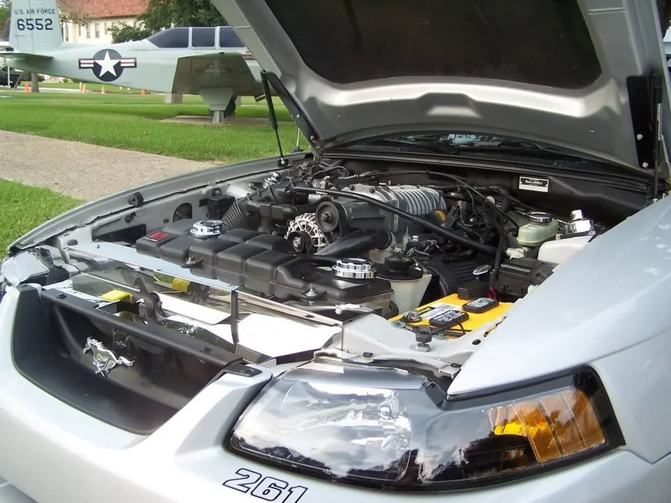 MySaleenAug2007084.webp