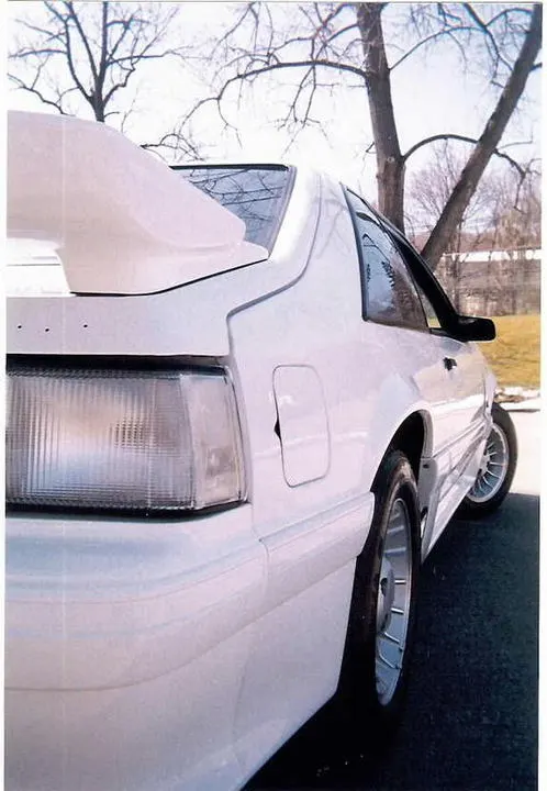 mystang.webp
