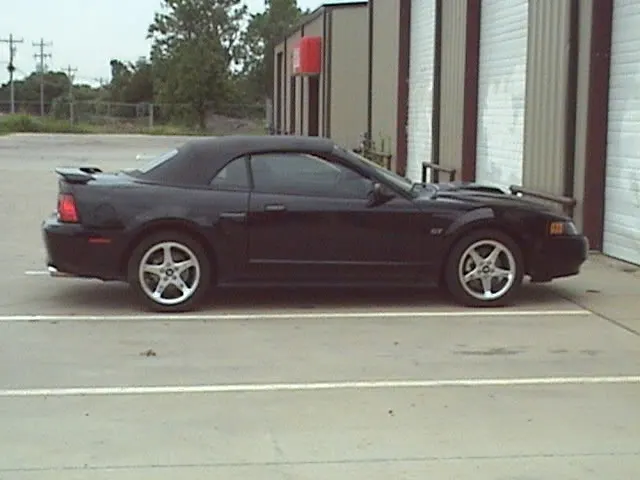 mystang.webp
