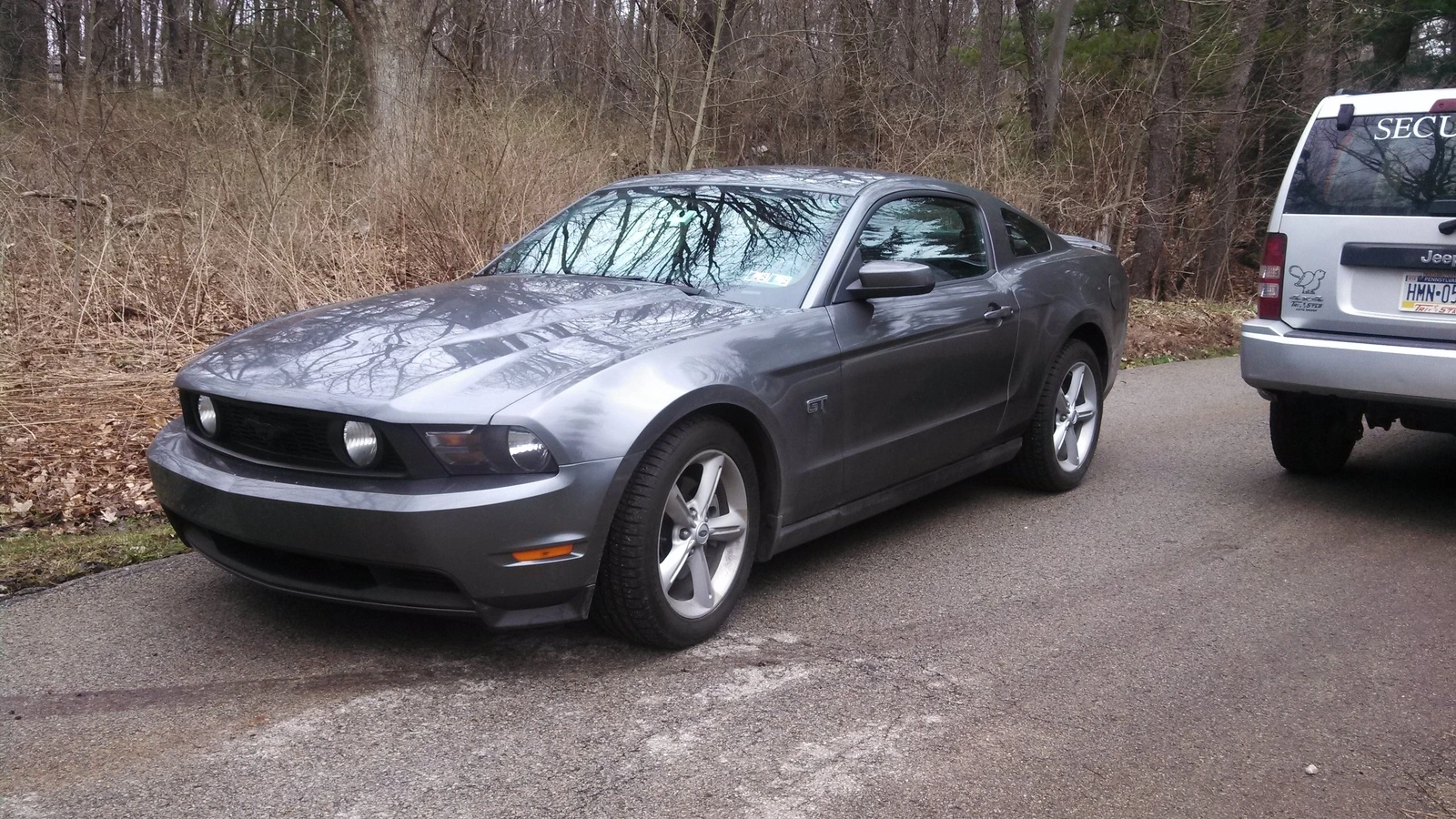 myStang.webp