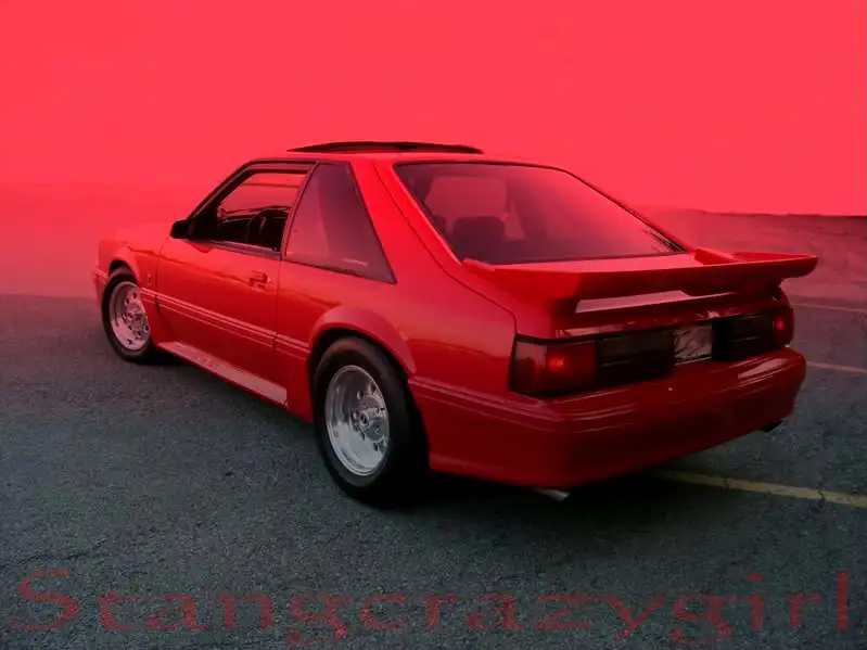 mystang0092.webp