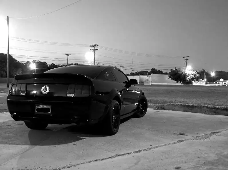 mystang026.webp