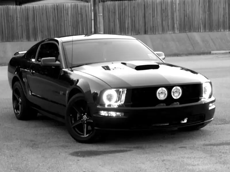 mystang096.webp