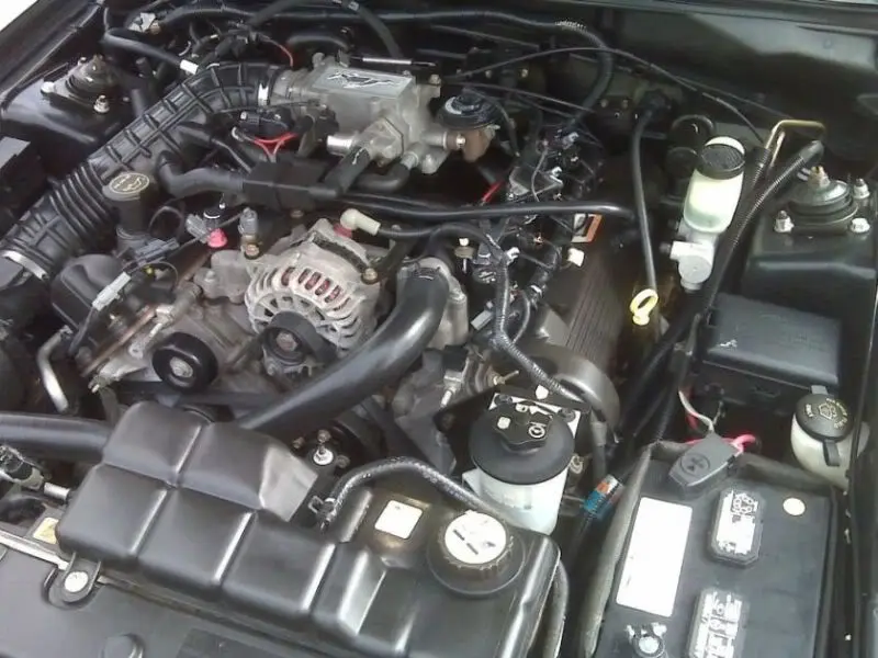 mystang1.webp