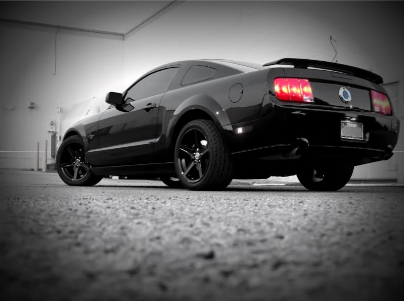 mystang103-1.webp
