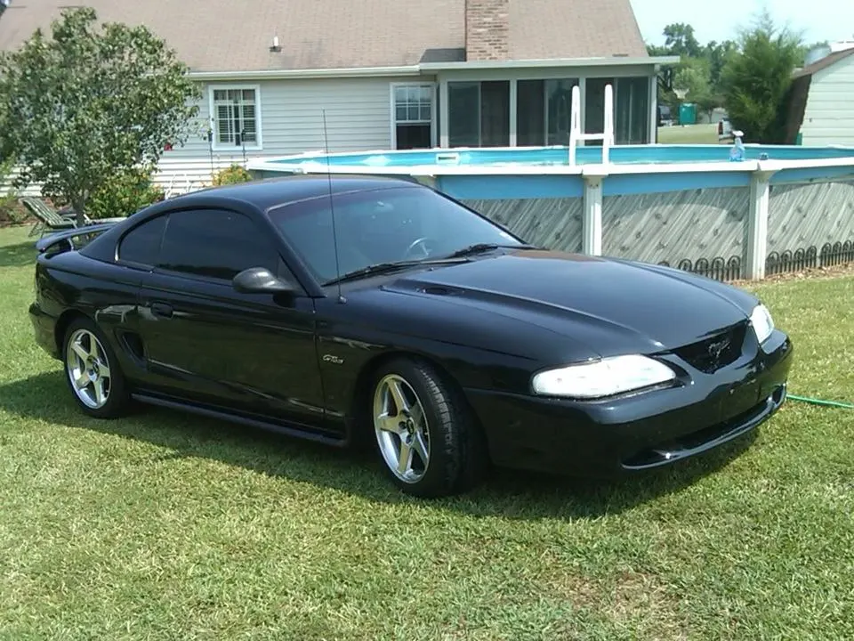 mystang2.webp