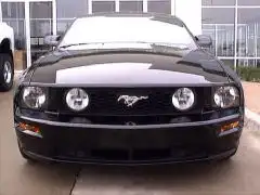 mystang2.webp