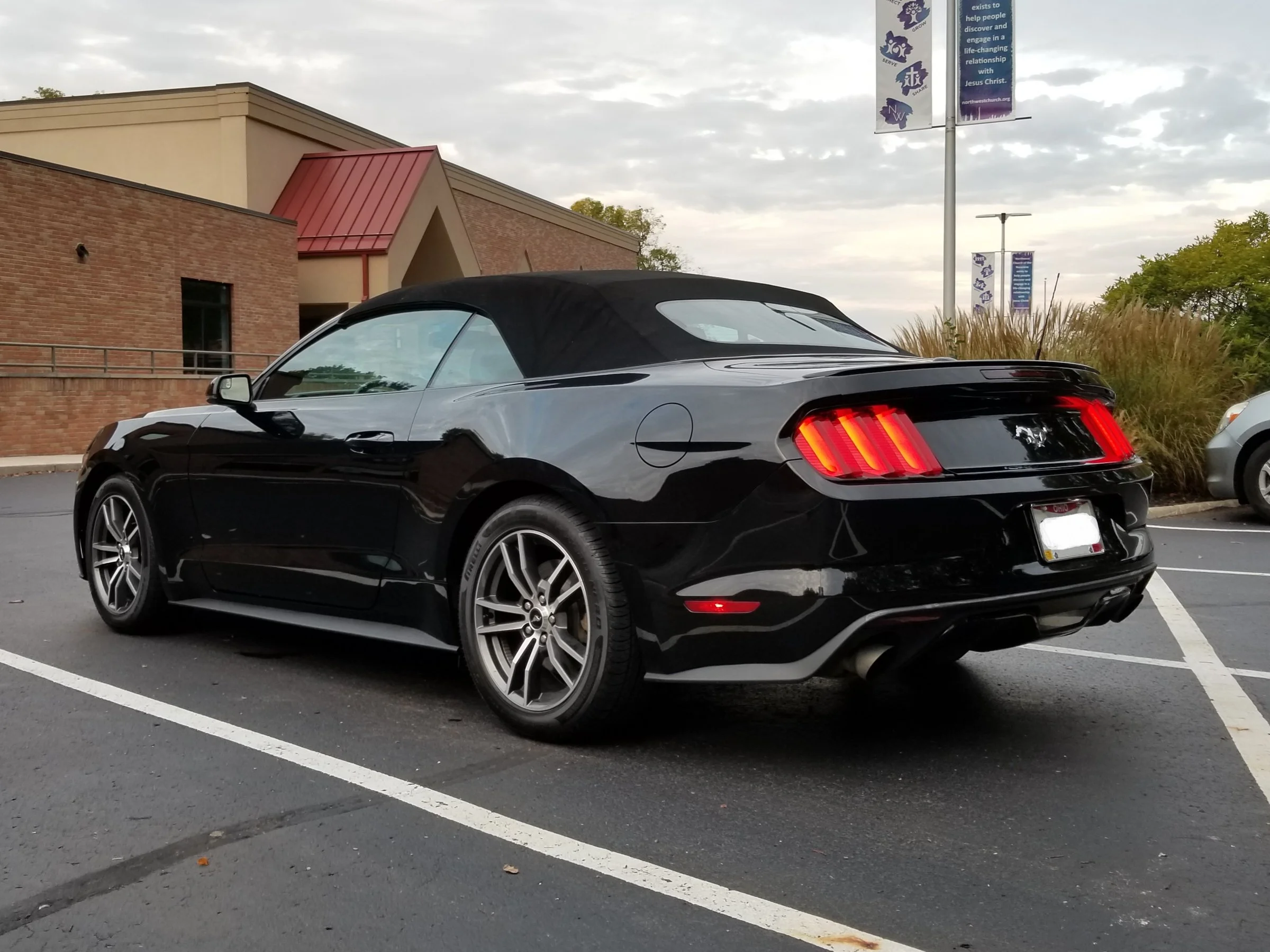 MYstang2.webp