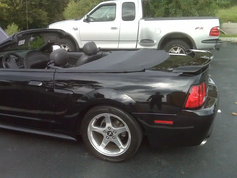 mystang3.webp