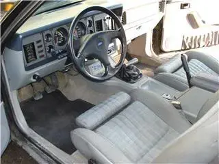 mystanginterior.webp