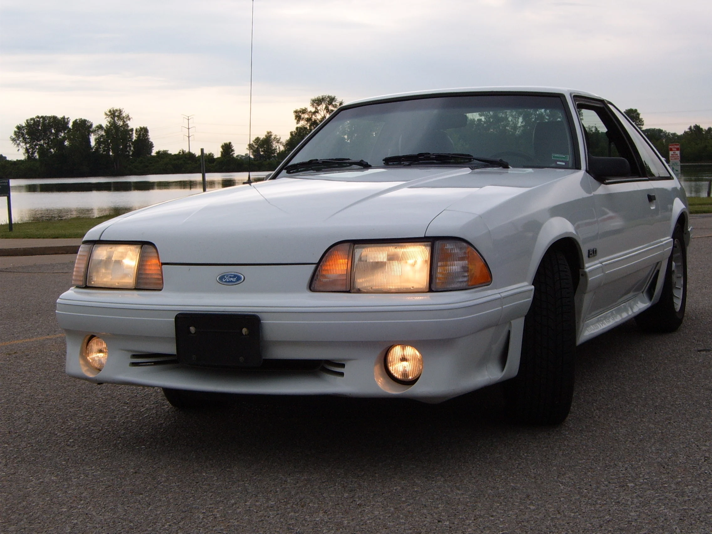 New stang 015.webp