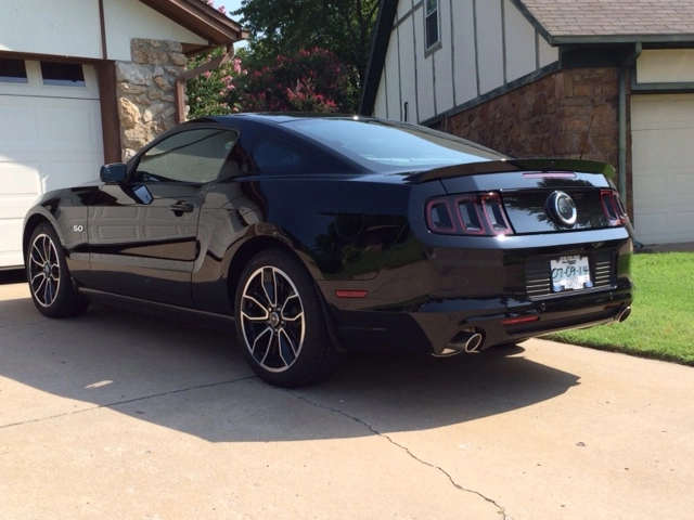 New Stang 3.webp
