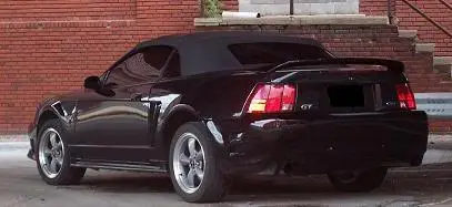 new.webp