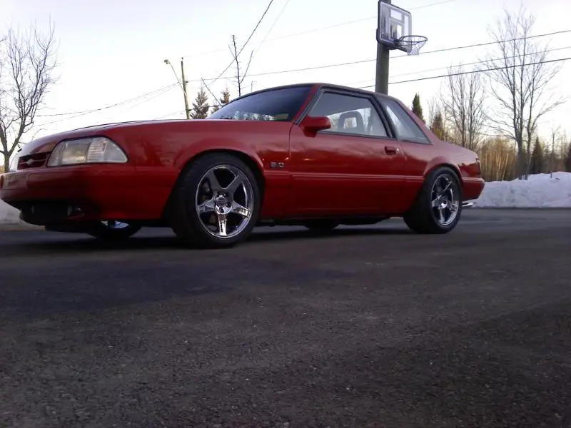 New03wheels003.webp