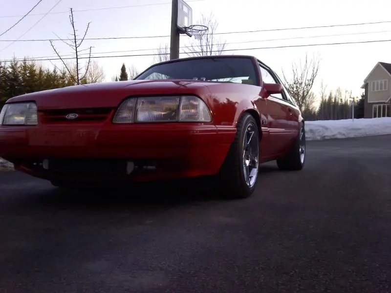 New03wheels004.webp