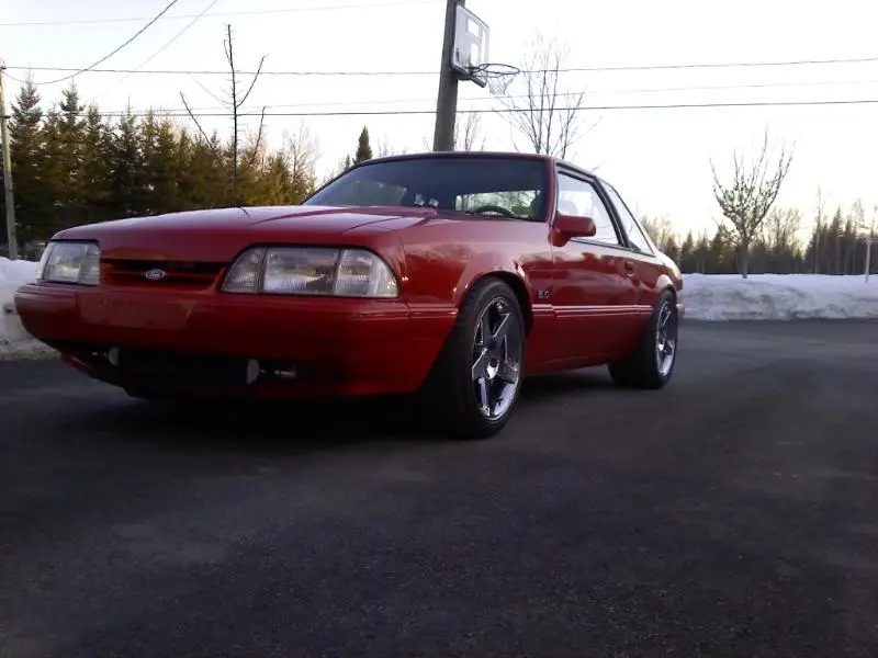 New03wheels005.webp