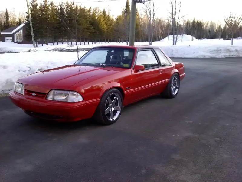 New03wheels016.webp