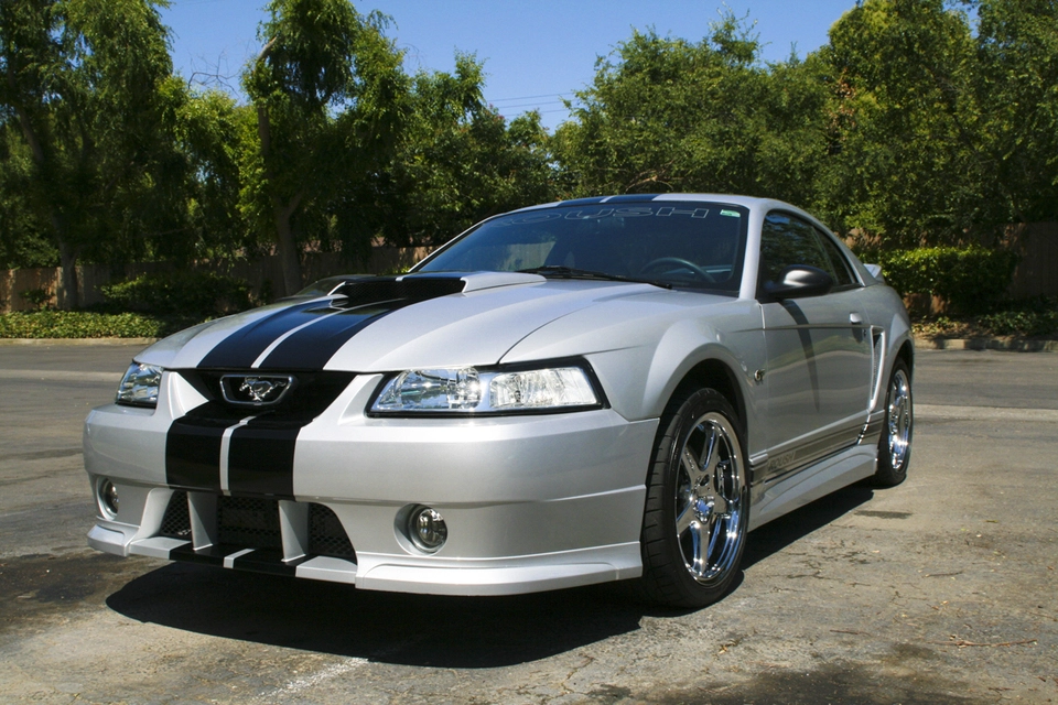New1.webp