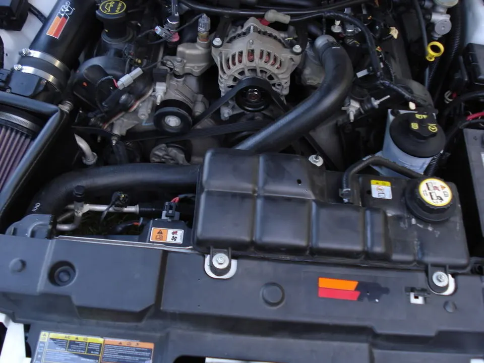 new106.webp